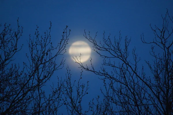 Luna Llena Rosa Supermoon Abril 2020 Francia Ocurre Cuando Luna —  Fotos de Stock