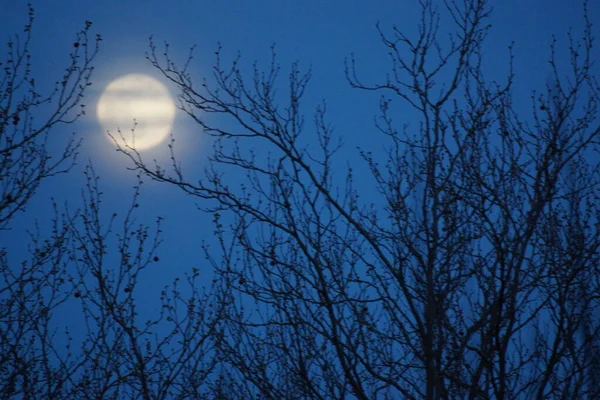 Supermåne Rosa Fullmåne April 2020 Frankrike Det Inträffar När Fullmånen — Stockfoto