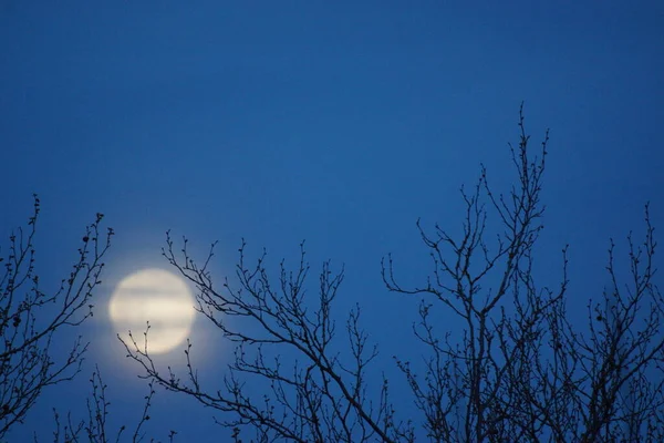 Supermåne Rosa Fullmåne April 2020 Frankrike Det Inträffar När Fullmånen — Stockfoto