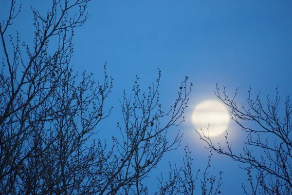 Supermoon Rosa Lua Cheia Abril 2020 France Ocorre Quando Lua — Fotografia de Stock