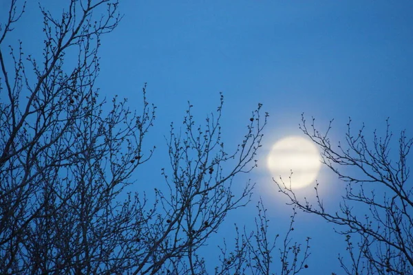 Supermåne Rosa Fullmåne April 2020 Frankrike Det Inträffar När Fullmånen — Stockfoto