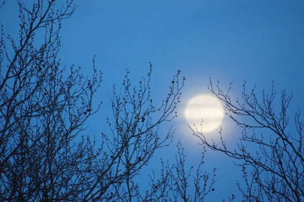 Supermaan Roze Volle Maan April 2020 Frankrijk Het Gebeurt Wanneer — Stockfoto