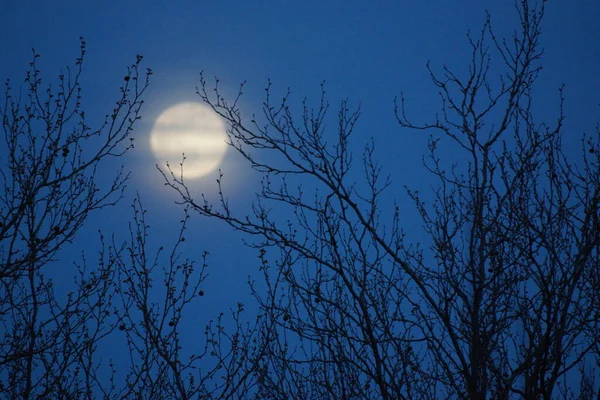 Supermåne Rosa Fullmåne April 2020 Frankrike Det Inträffar När Fullmånen — Stockfoto