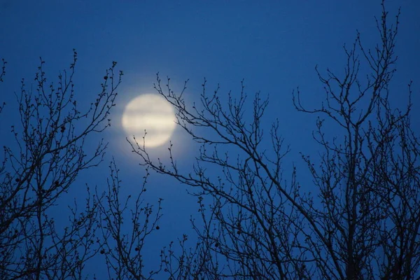 Supermaan Roze Volle Maan April 2020 Frankrijk Het Gebeurt Wanneer — Stockfoto