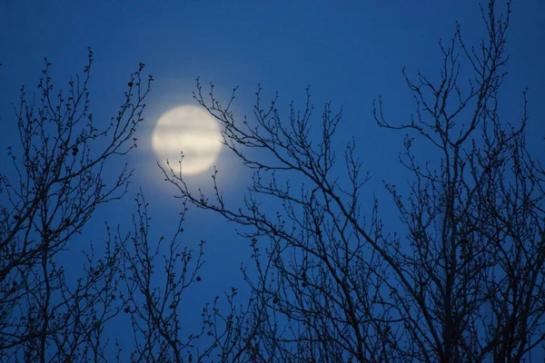 Supermåne Rosa Fullmåne April 2020 Frankrike Det Inträffar När Fullmånen — Stockfoto