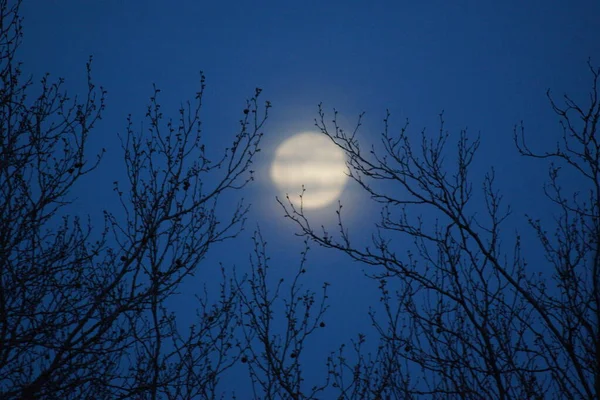 Supermåne Rosa Fullmåne April 2020 Frankrike Det Inträffar När Fullmånen — Stockfoto