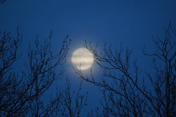 Bulan Purnama Merah Muda Supermoon April 2020 Prancis Hal Ini — Stok Foto