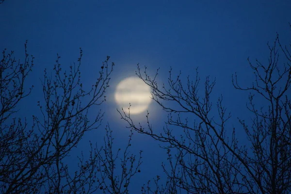 Supermåne Rosa Fullmåne April 2020 Frankrike Det Inträffar När Fullmånen — Stockfoto