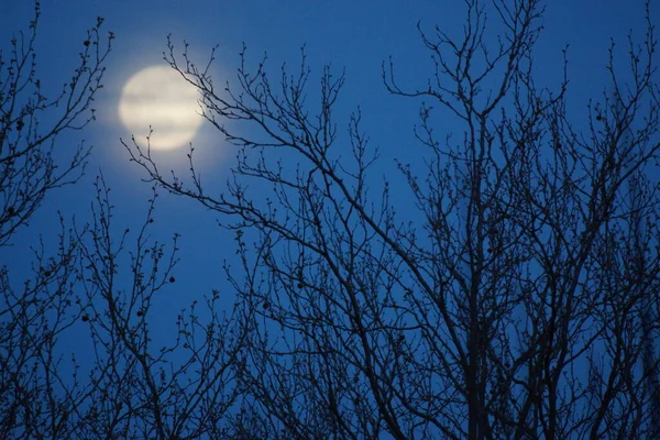 Supermaan Roze Volle Maan April 2020 Frankrijk Het Gebeurt Wanneer — Stockfoto