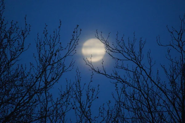 Supermaan Roze Volle Maan April 2020 Frankrijk Het Gebeurt Wanneer Rechtenvrije Stockafbeeldingen