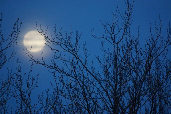 Supermåne Rosa Fullmåne April 2020 Frankrike Det Inträffar När Fullmånen — Stockfoto