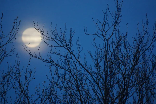 Supermaan Roze Volle Maan April 2020 Frankrijk Het Gebeurt Wanneer — Stockfoto