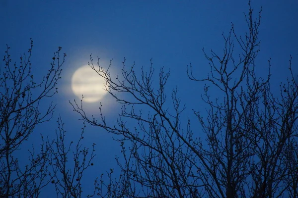 Luna Llena Rosa Supermoon Abril 2020 Francia Ocurre Cuando Luna — Foto de Stock