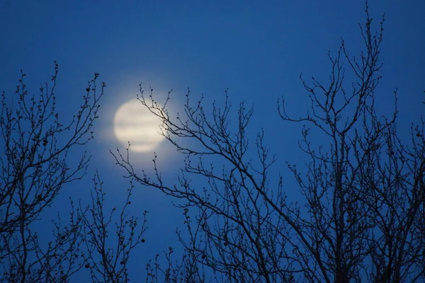 Supermaan Roze Volle Maan April 2020 Frankrijk Het Gebeurt Wanneer — Stockfoto