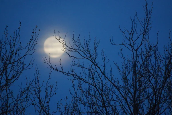 Supermåne Rosa Fullmåne April 2020 Frankrike Det Inträffar När Fullmånen — Stockfoto