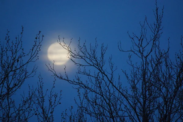 Supermåne Rosa Fullmåne April 2020 Frankrike Det Inträffar När Fullmånen — Stockfoto