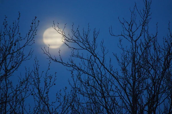 Supermaan Roze Volle Maan April 2020 Frankrijk Het Gebeurt Wanneer — Stockfoto