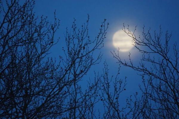 Supermåne Rosa Fullmåne April 2020 Frankrike Det Inträffar När Fullmånen — Stockfoto