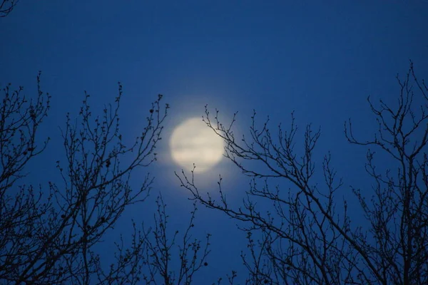 Supermåne Rosa Fullmåne April 2020 Frankrike Det Inträffar När Fullmånen — Stockfoto