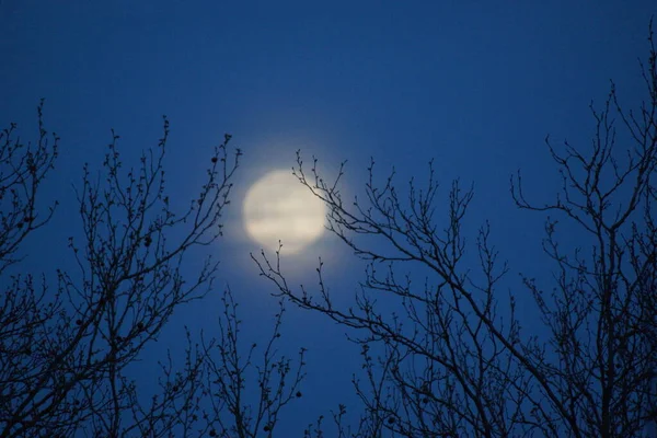 Luna Llena Rosa Supermoon Abril 2020 Francia Ocurre Cuando Luna — Foto de Stock