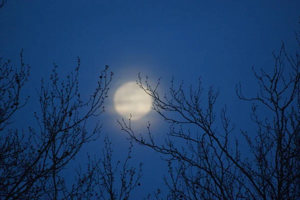 Supermaan Roze Volle Maan April 2020 Frankrijk Het Gebeurt Wanneer — Stockfoto