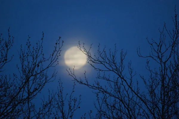 Supermåne Rosa Fullmåne April 2020 Frankrike Det Inträffar När Fullmånen — Stockfoto