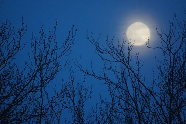 Supermåne Rosa Fullmåne April 2020 Frankrike Det Inträffar När Fullmånen — Stockfoto