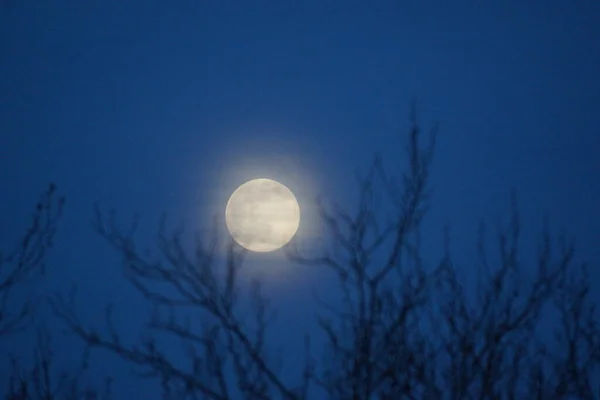 Supermåne Rosa Fullmåne April 2020 Frankrike Det Inträffar När Fullmånen — Stockfoto