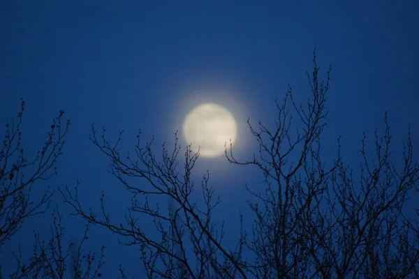 Supermåne Rosa Fullmåne April 2020 Frankrike Det Inträffar När Fullmånen — Stockfoto