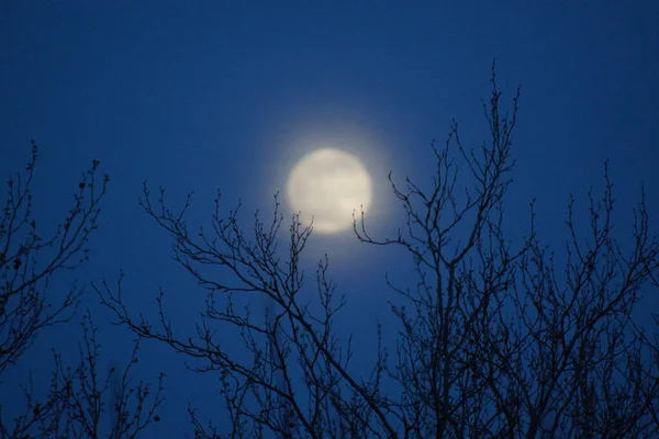 Supermaan Roze Volle Maan April 2020 Frankrijk Het Gebeurt Wanneer — Stockfoto