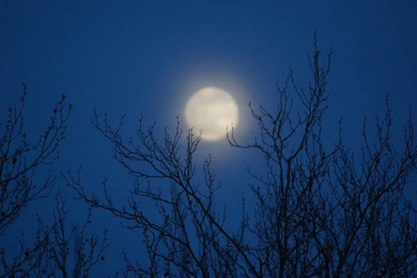 Supermaan Roze Volle Maan April 2020 Frankrijk Het Gebeurt Wanneer — Stockfoto