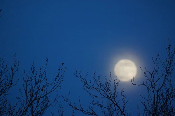 Supermaan Roze Volle Maan April 2020 Frankrijk Het Gebeurt Wanneer — Stockfoto