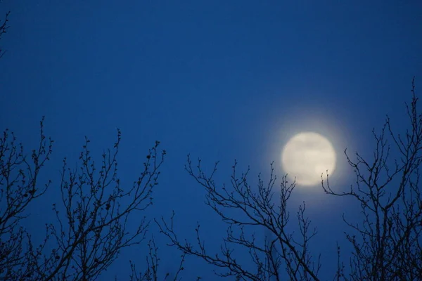 Supermåne Rosa Fullmåne April 2020 Frankrike Det Inträffar När Fullmånen — Stockfoto