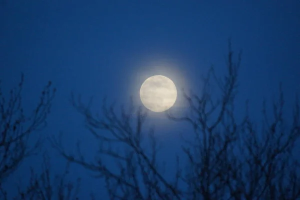 Supermoon Rosa Lua Cheia Abril 2020 France Ocorre Quando Lua — Fotografia de Stock