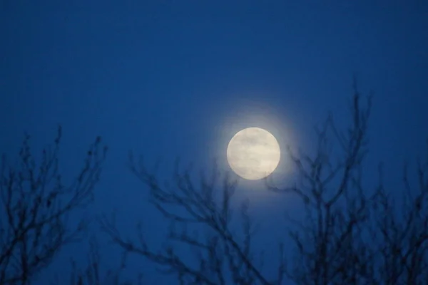 Luna Llena Rosa Supermoon Abril 2020 Francia Ocurre Cuando Luna —  Fotos de Stock