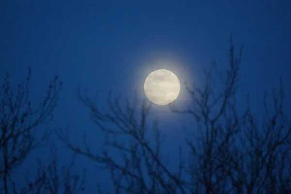 보름달 2020 프랑스 상에서 보름달 지구에서 가까운 지점에 때일어난다 보름달 — 스톡 사진