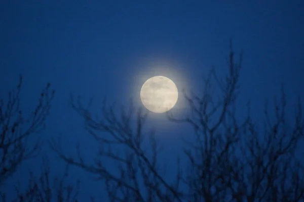 Supermaan Roze Volle Maan April 2020 Frankrijk Het Gebeurt Wanneer — Stockfoto