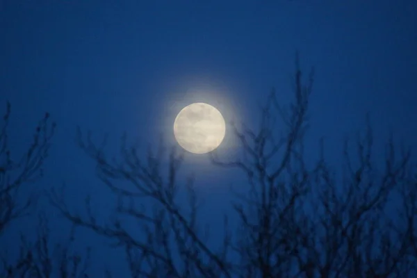 Supermåne Rosa Fullmåne April 2020 Frankrike Det Inträffar När Fullmånen — Stockfoto