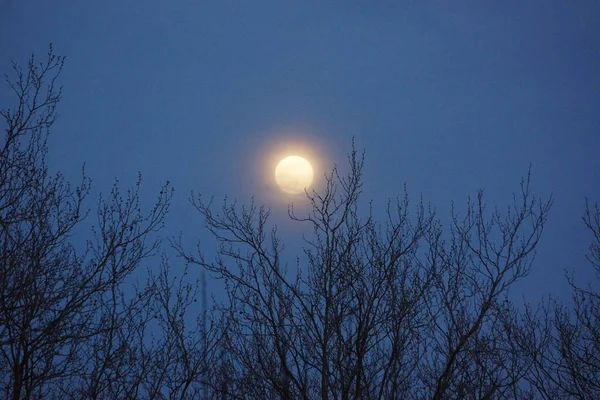 Supermåne Rosa Fullmåne April 2020 Frankrike Det Inträffar När Fullmånen — Stockfoto