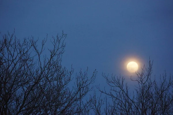 Bulan Purnama Merah Muda Supermoon April 2020 Prancis Hal Ini — Stok Foto