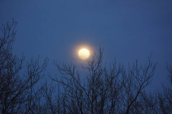 Supermåne Rosa Fullmåne April 2020 Frankrike Det Inträffar När Fullmånen — Stockfoto