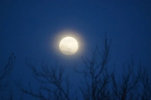 Luna Llena Rosa Supermoon Abril 2020 Francia Ocurre Cuando Luna —  Fotos de Stock