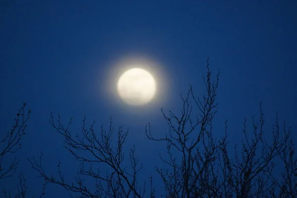 Supermaan Roze Volle Maan April 2020 Frankrijk Het Gebeurt Wanneer — Stockfoto