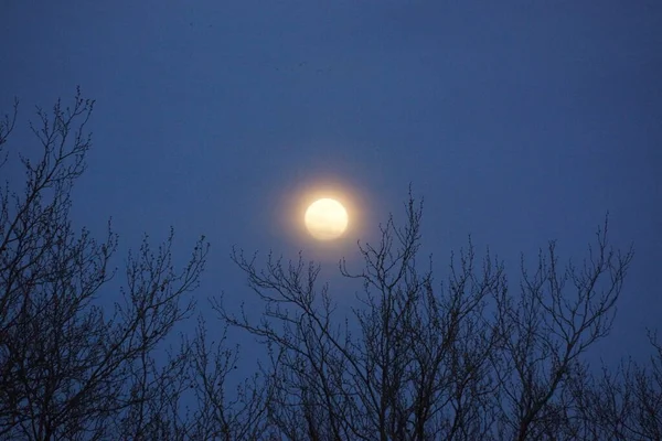 Supermaan Roze Volle Maan April 2020 Frankrijk Het Gebeurt Wanneer — Stockfoto