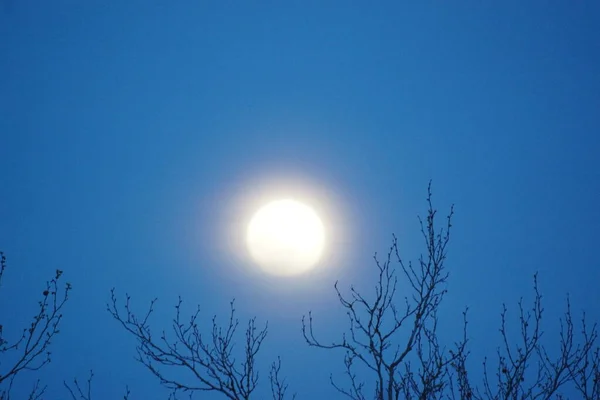 Supermoon Rózsaszín Telihold Április 2020 Franciaországban Akkor Fordul Elő Amikor — Stock Fotó