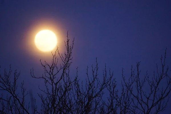 Supermaan Roze Volle Maan April 2020 Frankrijk Het Gebeurt Wanneer — Stockfoto