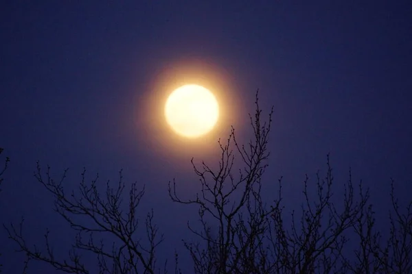 Luna Llena Rosa Supermoon Abril 2020 Francia Ocurre Cuando Luna — Foto de Stock