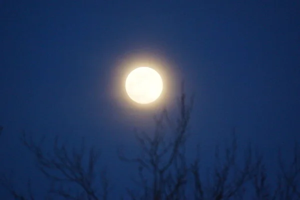Supermoon Pink Full Moon April 2020 France Occurs Full Moon — Stock Photo, Image