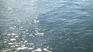 Deniz yüzeyi. Güneş parlamayı