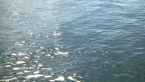 Surface de la mer. L'éblouissement du soleil 